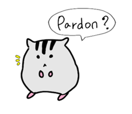 Daily life of Cat and Hamster (English) sticker #5325700