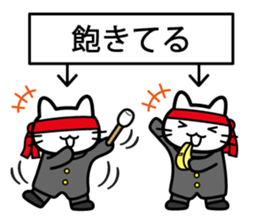 You want to support (cat) sticker #5326327