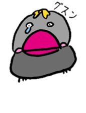 Java sparrow Mochiko sticker #5326522