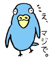 Java sparrow Mochiko sticker #5326526