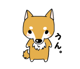 shiba dog sticker #5326936