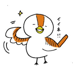 Birds of chiyoko-chan