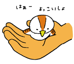Birds of chiyoko-chan sticker #5327986