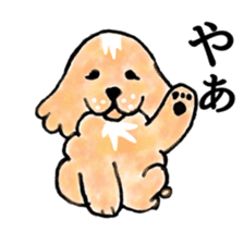 Marron of the American cocker spaniel sticker #5330852