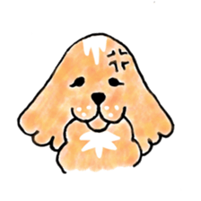 Marron of the American cocker spaniel sticker #5330872
