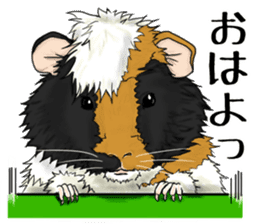 SUZU&PONI sticker #5330892