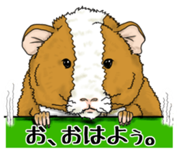 SUZU&PONI sticker #5330893