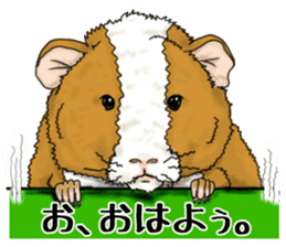 SUZU&PONI sticker #5330893