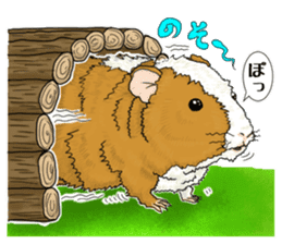 SUZU&PONI sticker #5330895