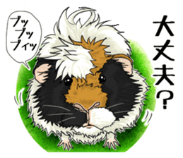 SUZU&PONI sticker #5330900