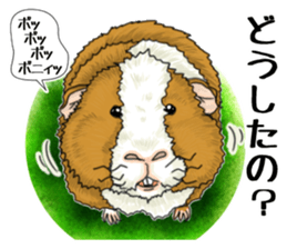 SUZU&PONI sticker #5330901