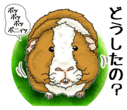 SUZU&PONI sticker #5330901