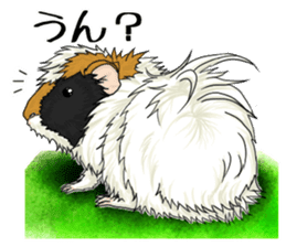 SUZU&PONI sticker #5330902