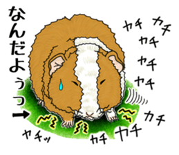 SUZU&PONI sticker #5330907