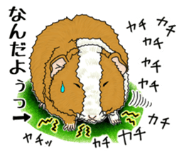 SUZU&PONI sticker #5330907