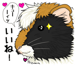 SUZU&PONI sticker #5330908