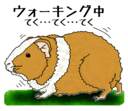 SUZU&PONI sticker #5330913