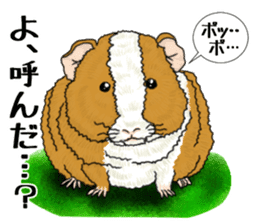 SUZU&PONI sticker #5330919