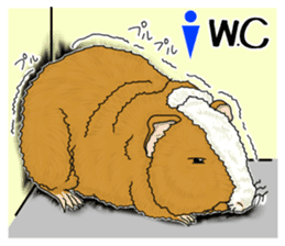 SUZU&PONI sticker #5330921