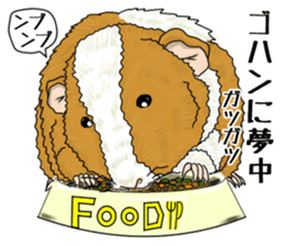 SUZU&PONI sticker #5330923