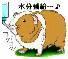 SUZU&PONI sticker #5330925