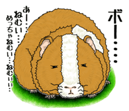 SUZU&PONI sticker #5330927