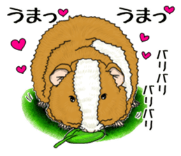 SUZU&PONI sticker #5330931