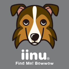 iinu - Shetland Sheepdog