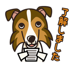 iinu - Shetland Sheepdog sticker #5332101
