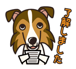 iinu - Shetland Sheepdog sticker #5332101