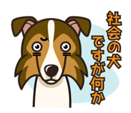 iinu - Shetland Sheepdog sticker #5332103