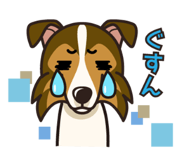 iinu - Shetland Sheepdog sticker #5332110