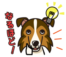 iinu - Shetland Sheepdog sticker #5332112