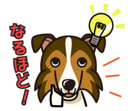 iinu - Shetland Sheepdog sticker #5332112