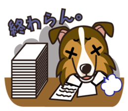 iinu - Shetland Sheepdog sticker #5332117