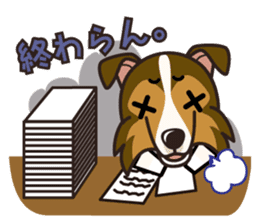 iinu - Shetland Sheepdog sticker #5332117