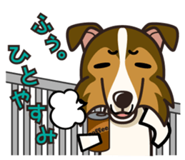 iinu - Shetland Sheepdog sticker #5332118