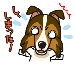 iinu - Shetland Sheepdog sticker #5332119