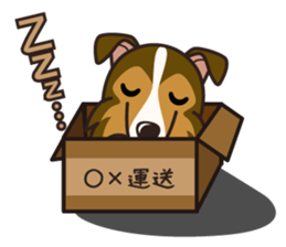 iinu - Shetland Sheepdog sticker #5332122