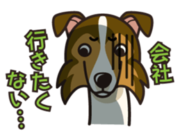 iinu - Shetland Sheepdog sticker #5332123