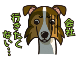 iinu - Shetland Sheepdog sticker #5332123