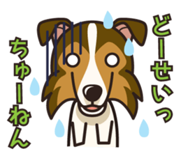 iinu - Shetland Sheepdog sticker #5332128