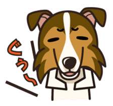 iinu - Shetland Sheepdog sticker #5332130