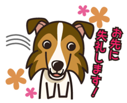 iinu - Shetland Sheepdog sticker #5332131