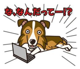 iinu - Shetland Sheepdog sticker #5332132