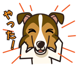 iinu - Shetland Sheepdog sticker #5332134