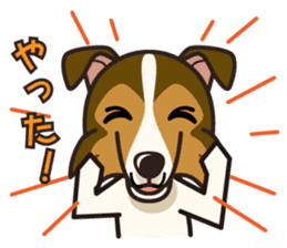 iinu - Shetland Sheepdog sticker #5332134