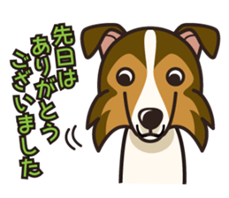 iinu - Shetland Sheepdog sticker #5332138