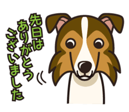 iinu - Shetland Sheepdog sticker #5332138