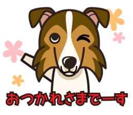 iinu - Shetland Sheepdog sticker #5332139